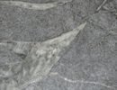 Soapstone Countertop Grey